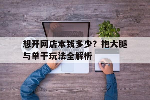 想开网店本钱多少？抱大腿与单干玩法全解析