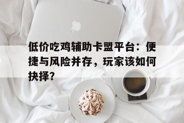 低价吃鸡辅助卡盟平台：便捷与风险并存，玩家该如何抉择？