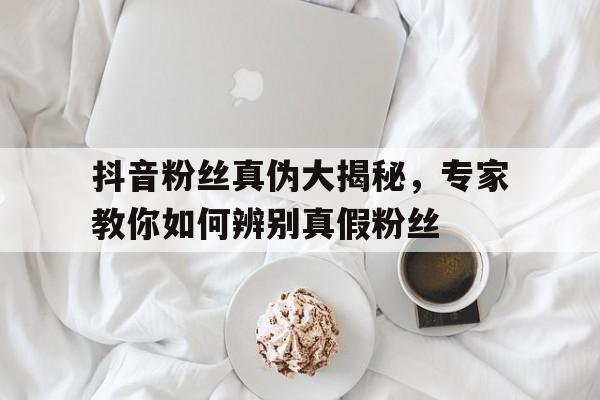 抖音粉丝真伪大揭秘，专家教你如何辨别真假粉丝