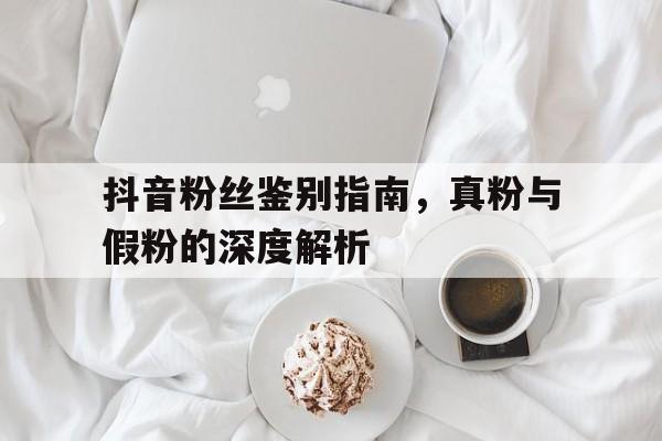 抖音粉丝鉴别指南，真粉与假粉的深度解析