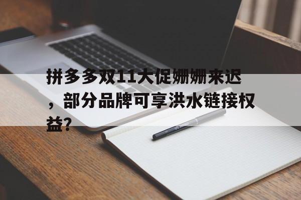 拼多多双11大促姗姗来迟，部分品牌可享洪水链接权益？