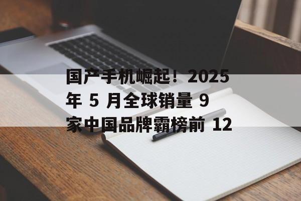 国产手机崛起！2025 年 5 月全球销量 9 家中国品牌霸榜前 12