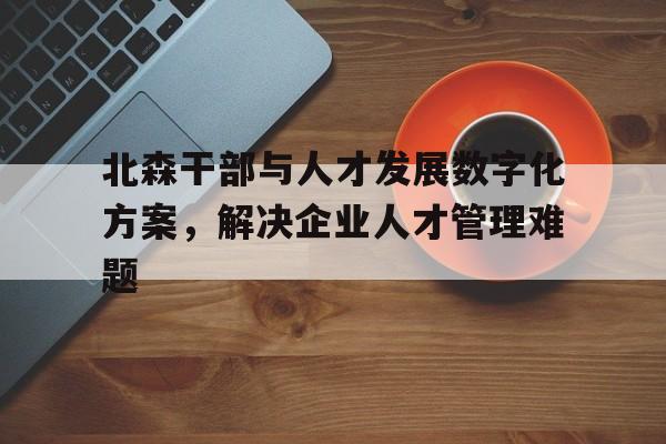 北森干部与人才发展数字化方案，解决企业人才管理难题