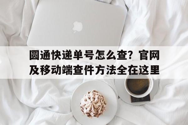 圆通快递单号怎么查？官网及移动端查件方法全在这里