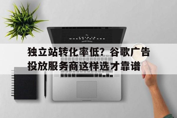 独立站转化率低？谷歌广告投放服务商这样选才靠谱