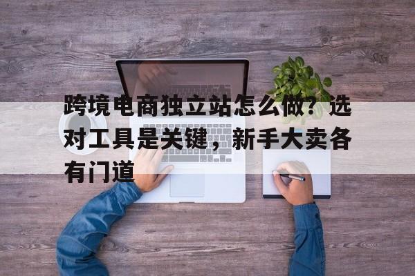 跨境电商独立站怎么做？选对工具是关键，新手大卖各有门道